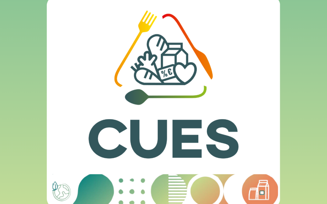 New synergy established with our sister project CUES!
