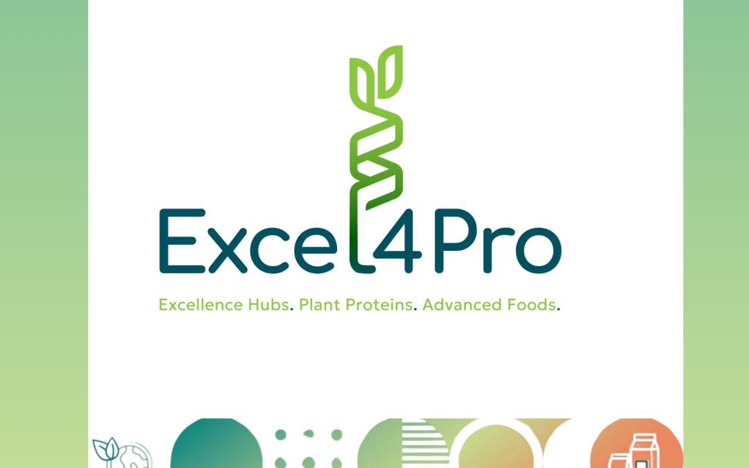 New synergy established with Excel4Pro project!